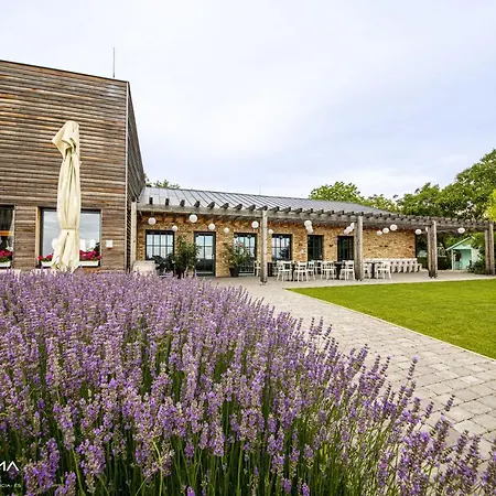 Panorama Birtok - Wellness Panzio, Konferencia Es Rendezvenykoezpont *